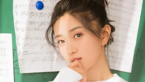 向佐破产传闻辟谣